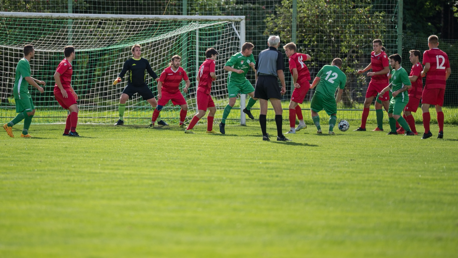  DSC2648 (1) (1)